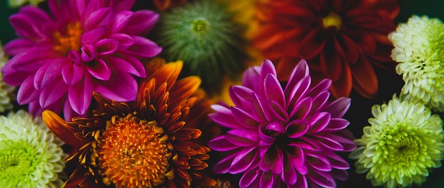 多地參與球 多地參與球