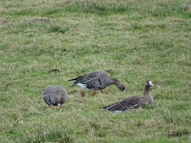 精彩表现 精彩表现