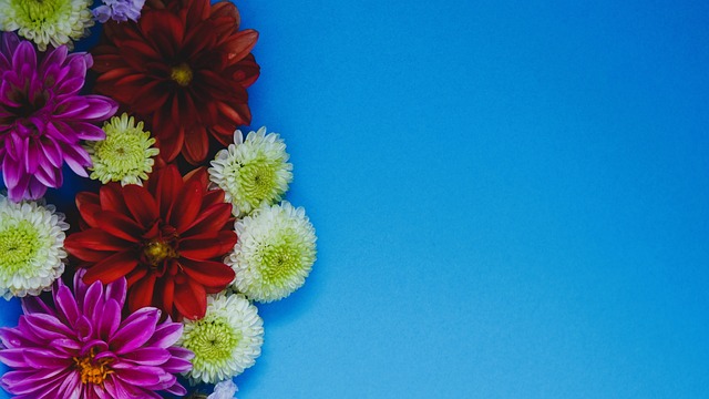 全运会一直 全运会一直