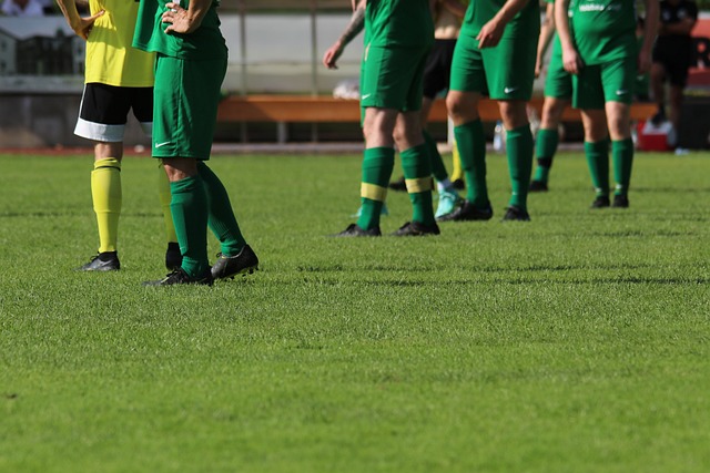 何影响小牛 何影响小牛